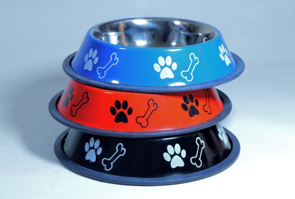 dog food and water bowl small