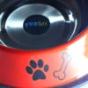 dog food and water bowl small