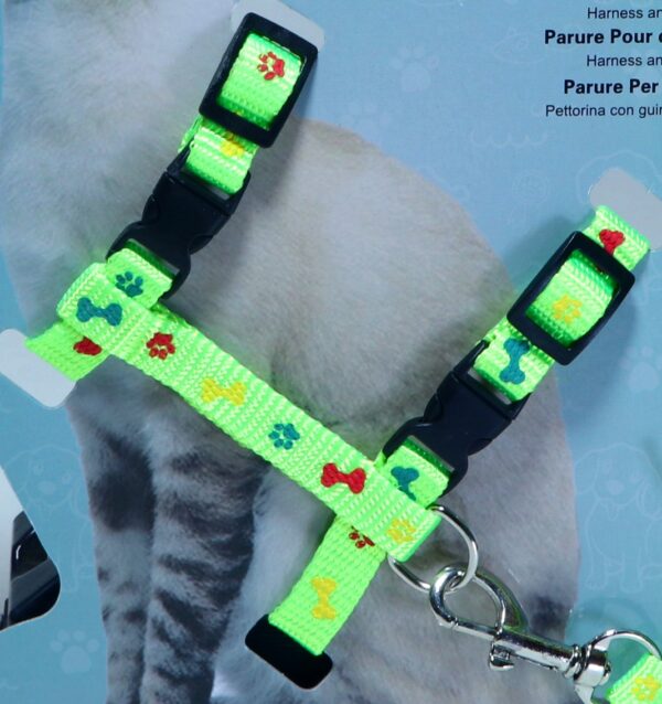 Cat Harness