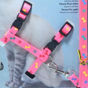 Cat Harness