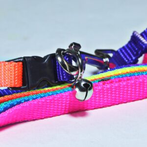 cute dog collar