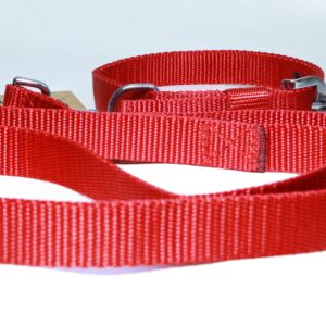 plain leash and collar set