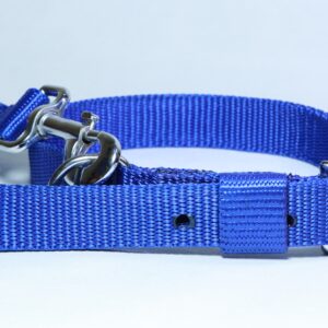 dog belt