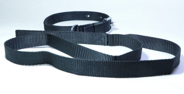 plain leash and collar set