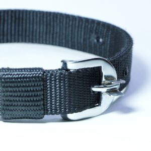 plain leash and collar set