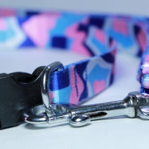 Dog leash collar set