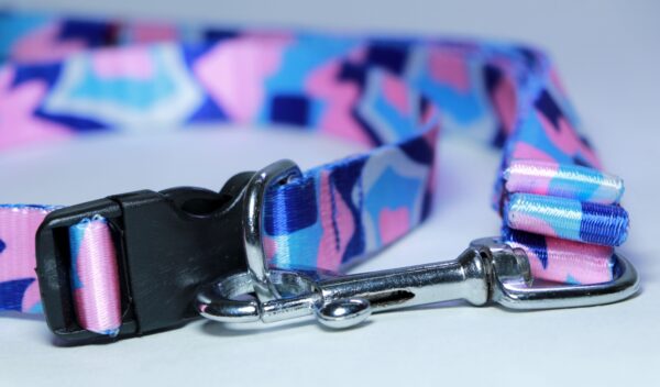 Dog leash collar set