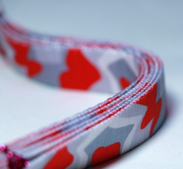 dog collar leash