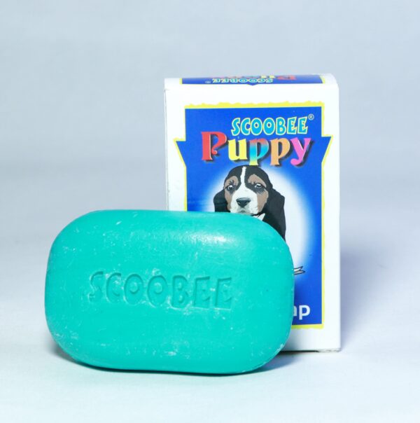 soap for dog