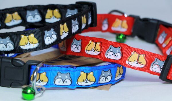 Puppy collar