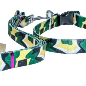 dog leash collar