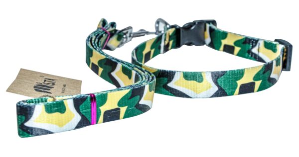 dog leash collar