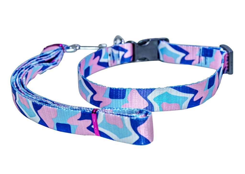 Dog leash collar set