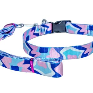 Dog leash collar set