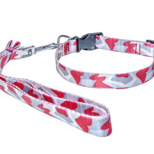 dog leash collar