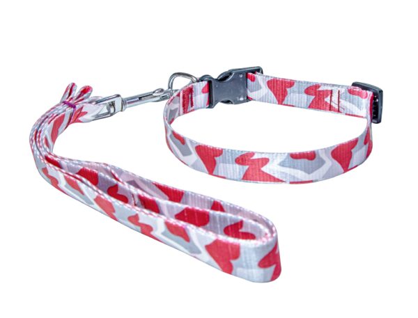 dog leash collar