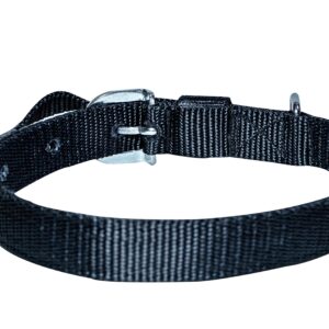 plain leash and collar set