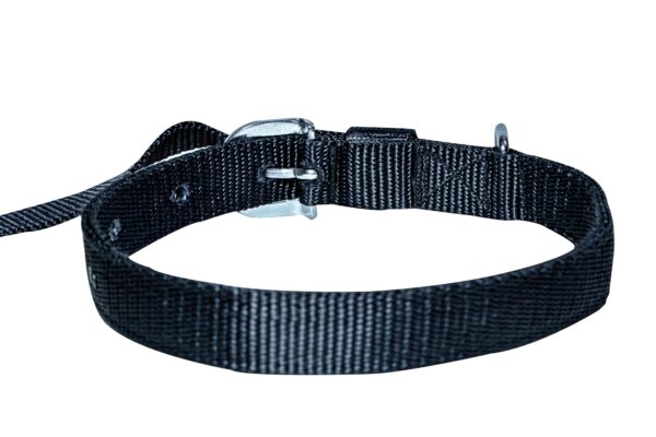 plain leash and collar set