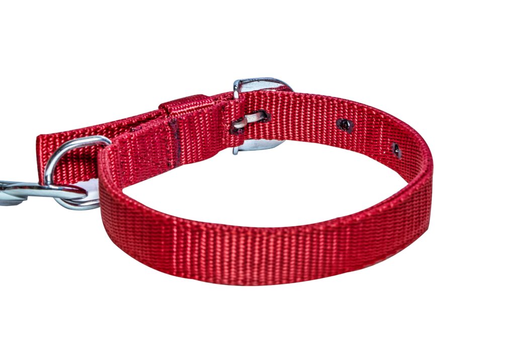 plain leash and collar set