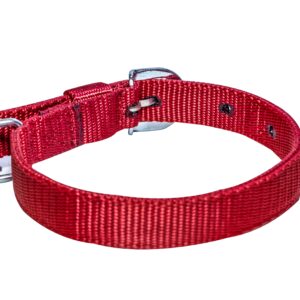 plain leash and collar set