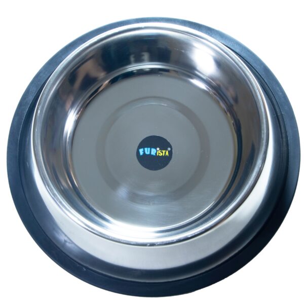 dog food and water bowl small