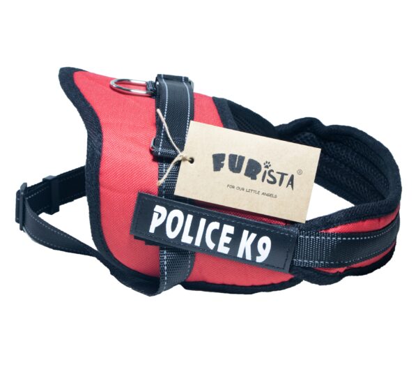 Dog body harness