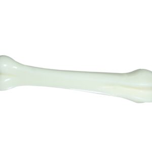 nylon bone for dogs