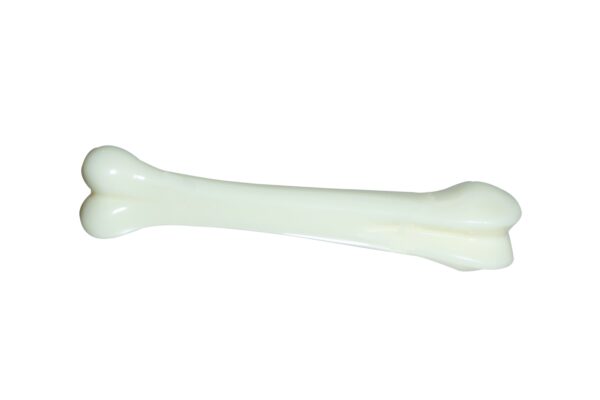 nylon bone for dogs