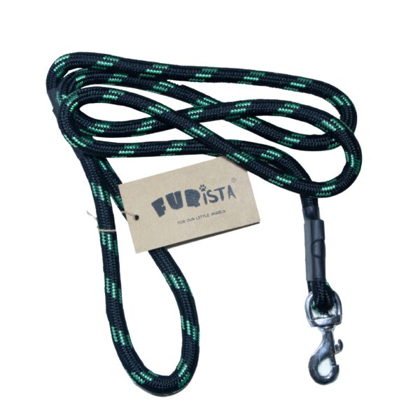 Dog leash