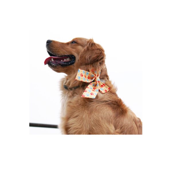 Dog Bow Tie