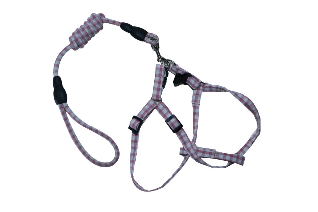 Cotton Harness and Leash Set