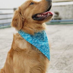 bandanas for dogs