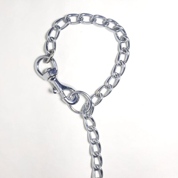 Dog chain