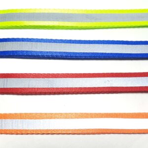 Reflective Collar leash