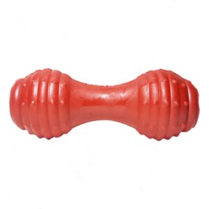 Dog chew toy