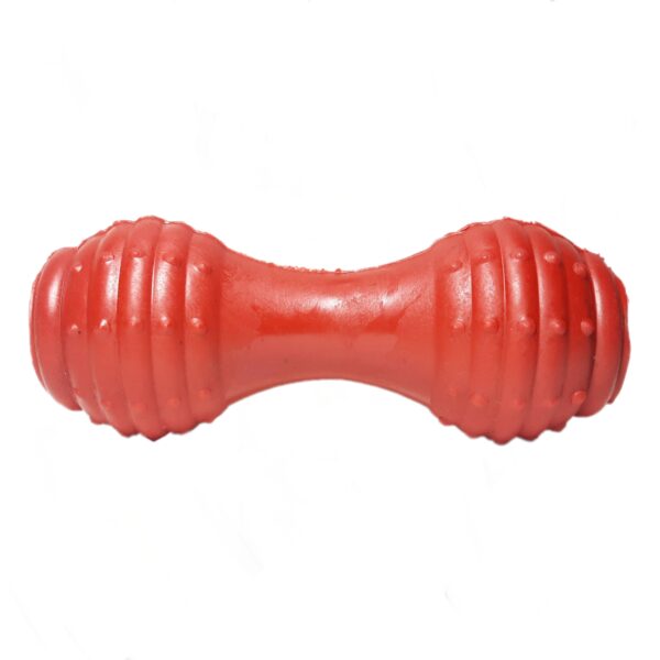 Dog chew toy