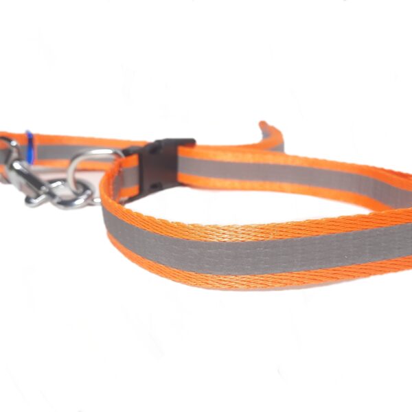 Reflective Collar Leash