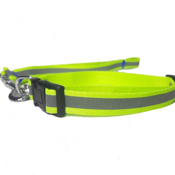 Reflective Collar Leash