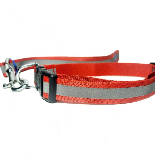 Reflective Collar Leash