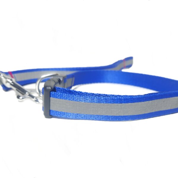 Reflective Collar Leash