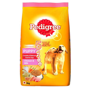 Pedigree puppy