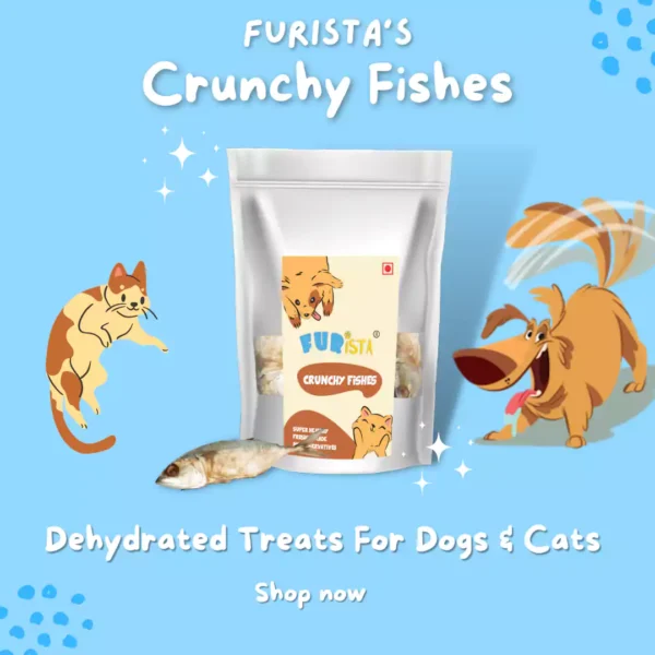 Dehydrated Pet Treats